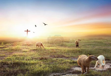 Téléchargez les photos : Troupeau de moutons sur la croix de Jésus-Christ et le coucher du soleil - en image libre de droit