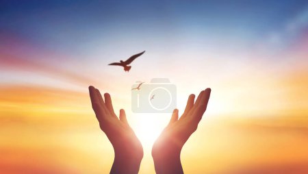 Hände zum Gebet in den Himmel gereckt und freier Vogel genießt die Natur bei Sonnenaufgang und bewölktem Himmel.