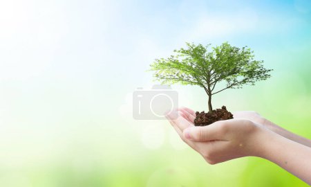 Téléchargez les photos : Monde environnement et jour de la terre, Arbre planté dans les mains de l'homme avec fond vert et bleu ciel naturel - en image libre de droit