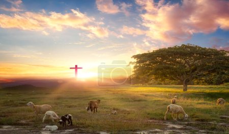 Photo for Flock of sheep on cross of Jesus christ and sunset background - Royalty Free Image