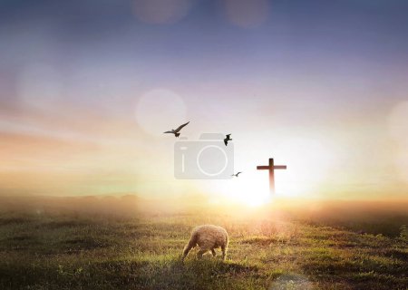 Téléchargez les photos : Un mouton perdu sur les silhouettes du symbole crucifix sur la montagne avec un rayon de soleil lumineux sur le fond coloré du ciel - en image libre de droit