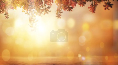 Photo for Autumn beech leaves decorate a beautiful nature bokeh background - Royalty Free Image