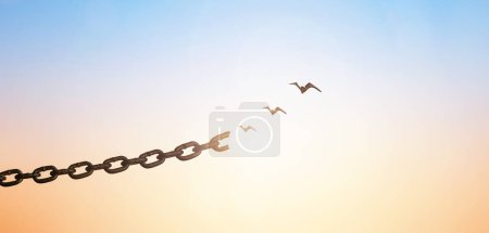 Peace and freedom concept, silhouette of flying birds and broken chain on beautiful sky sunset background