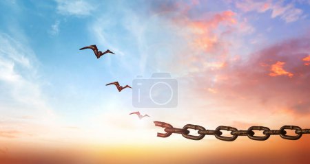 Foto de Concepto de esperanza, aves volando y cadenas rotas sobre la naturaleza borrosa amanecer fondo - Imagen libre de derechos