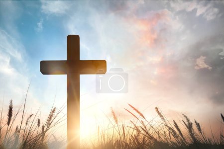 Photo for The cross on grass with sunset in the sky background - Royalty Free Image