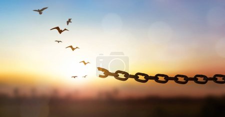 hope freedom concept, Bird flying and broken chains over blurred nature sunrise background