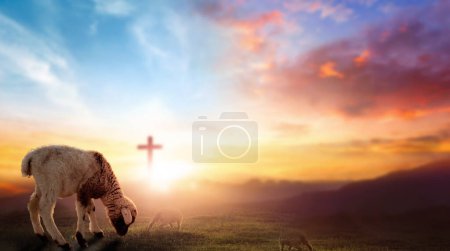 Photo for Easter concept, Christ Jesus concept, Flock of sheep on cross and sunset background - Royalty Free Image