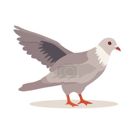 Illustration for Pigeon bird isolated on white background. Cartoon style. Vector illustration - Royalty Free Image
