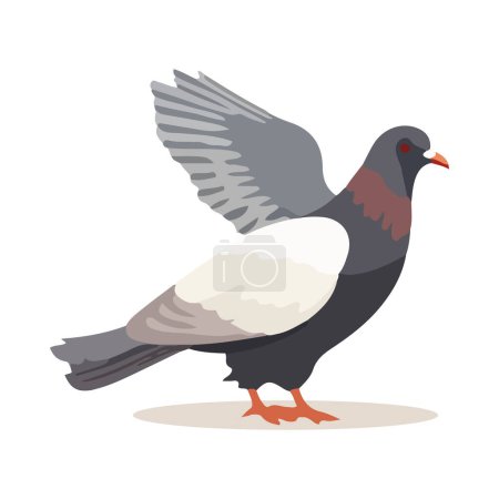 Illustration for Cartoon pigeon isolated on white background. Cartoon style. Vector illustration - Royalty Free Image