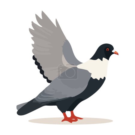 Illustration for Cartoon pigeon isolated on white background. Cartoon style. Vector illustration - Royalty Free Image