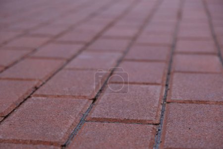 Red tiles on pavement from low perspective. Low-angle view of red tiled pavement.