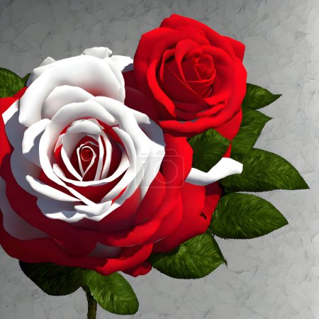 Photo for A red and white Rose with smaller Rose - Royalty Free Image