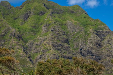 Exposition faite dans le parc régional de Kualoa, où vous pouvez voir l'île de Mokolii, plus largement appelé chapeau de l'île Chinamans, situé dans l'île d'Oahu, Hawaï, très proche de Kuala Ranch connu comme l'endroit où Jurassic Park a été filmé.