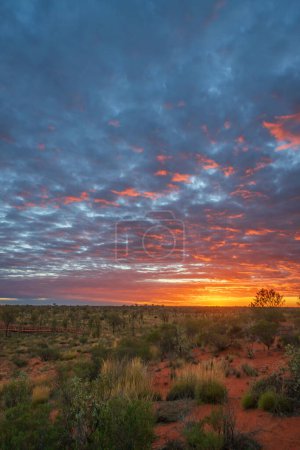 Sonnenaufgang in der Wüste, nämlich in Uluru, Northern Territories, Australien, auch bekannt als Ayers Rock.