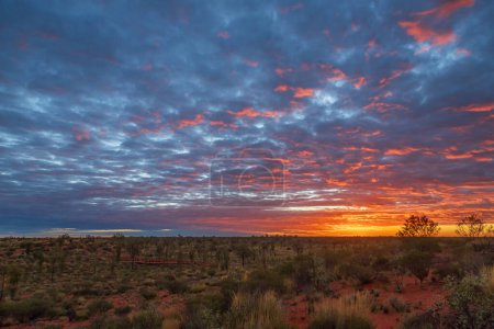 Sonnenaufgang in der Wüste, nämlich in Uluru, Northern Territories, Australien, auch bekannt als Ayers Rock.