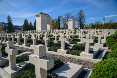Photo for LVIV, UKRAINE - October 28, 2022: View of Polish military cemetery (Cmentarz Orlat) in Lychakiv Cemetery in western ukrainian city Lviv. - Royalty Free Image