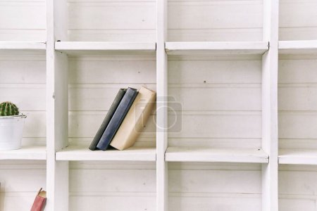 Téléchargez les photos : Étagères en bois blanc avec de vieux livres. Bibliothèque en bois. Bibliothèque de livres. Cactus sur une étagère - en image libre de droit
