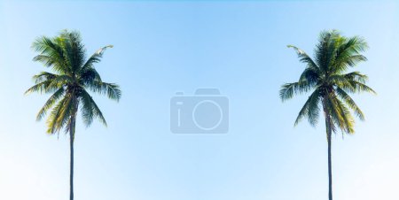 Two Hawaiian coconut trees with blue sky background with copy space text area