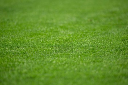 Photo for Natural grass of football field with blur. - Royalty Free Image