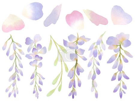 Hermosa acuarela Wisteria flor brote pétalo ilustración rosa azul y púrpura color pastel ramo follaje oriental jardín elementos sobre fondo blanco