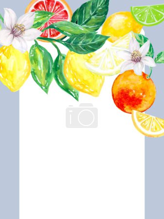 Ingredients Fruit Citrus Berry ripe garden countryside birtday party watercolor illustration frame greetings card