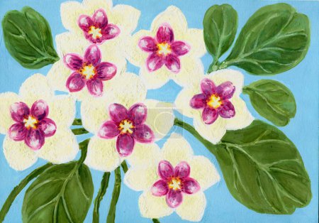 Watercolor gouache beautiful hoya carnosa plant flower hand paint card background