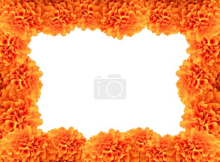 Photo for Cempasuchil flower frame with colored background and space for text. Cempasuchil flower frame, Mexican flower of the day of the dead in Mexico. - Royalty Free Image