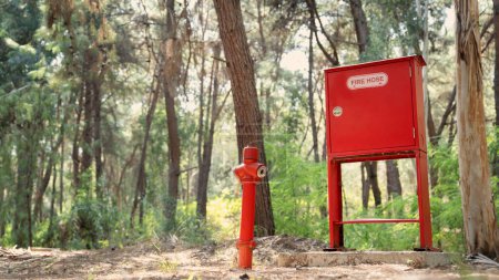 Téléchargez les photos : Bouche d'incendie dans la forêt - en image libre de droit