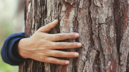 Téléchargez les photos : La main de la femme touche le tronc de l'arbre - en image libre de droit