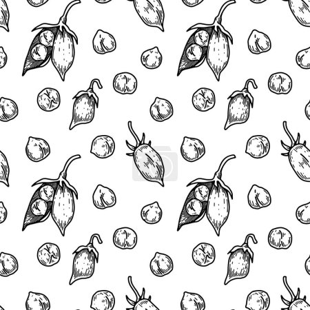 Hand drawn chickpeas seamless pattern. Vector illustration in sketch style