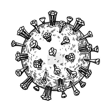 Téléchargez les illustrations : Hand drawn measles virus isolated on white background. Realistic detailed scientifical vector illustration in sketch stile - en licence libre de droit