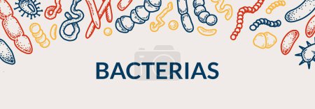 Illustration for Bacteria horizontal design. Hand drawn vector illustration in sketch style - Royalty Free Image