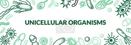Illustration for Microscopic unicellular organisms design. Scientific biology vector illustration in sketch style - Royalty Free Image