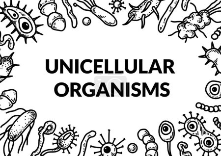 Ilustración de Microscopic unicellular organisms design. Scientific biology vector illustration in sketch style - Imagen libre de derechos