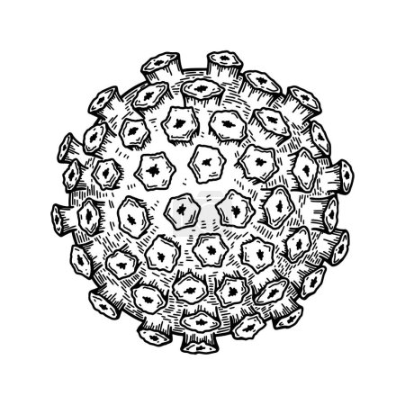 Ilustración de Papillomavirus isolated on white background. Hand drawn realistic detailed scientifical vector illustration in sketch style - Imagen libre de derechos