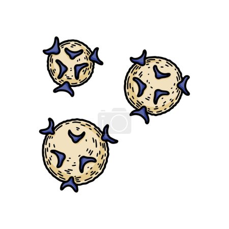 Células T-ayudantes aisladas sobre fondo blanco. Ilustración de vectores de microbiología científica dibujada a mano en estilo de boceto. Sistema inmunitario adaptativo