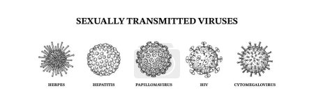 Ilustración de Virus de transmisión sexual. Conjunto dibujado a mano de microorganismos. Ilustración del vector científico en estilo de boceto - Imagen libre de derechos