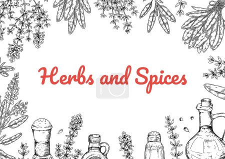 Illustration for Herbs and spices horizontal design. Hand draw background with cooking ingredients in sketch style. Detailed vector illustration - Royalty Free Image
