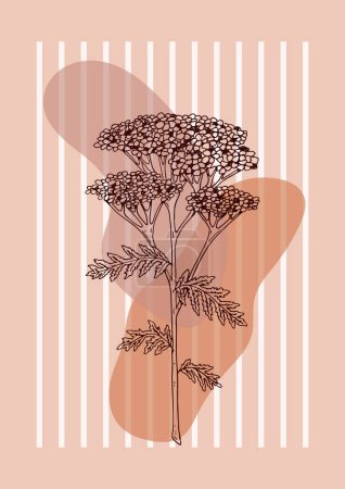 Moderno cartel de equilibrio floral estético floral. Ilustración vectorial dibujada a mano. Bosquejo de flores silvestres