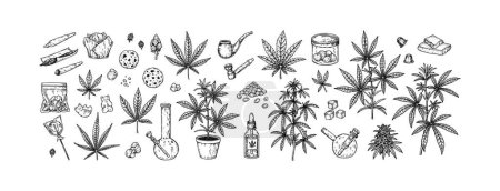 Cannabis-Set. Handgezogene Unkrautpflanze, Werkzeuge zum Rauchen, Marihuana-Kekse und Süßigkeiten. Vektorillustration im Skizzenstil. Gravierelemente für das Verpackungsdesign