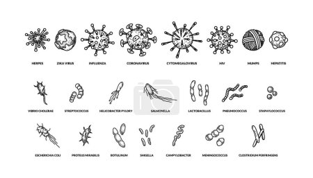 Téléchargez les illustrations : Ensemble de différents types dessinés à la main virus de bactréias avec des noms. Illustration vectorielle en style croquis. Dessin scientifique réaliste - en licence libre de droit