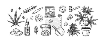 Ilustración de Herramientas y productos para fumar cannabis. Elementos de diseño de marihuana dibujada a mano. Ilustración vectorial en estilo de boceto - Imagen libre de derechos