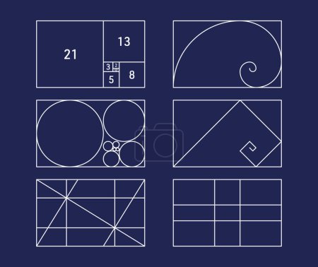 Illustration for Vector golden ratio ideal symmetry proportions layout set - Royalty Free Image
