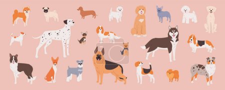 Illustration for Dog breeds set. Cute flat illustration in cartoon style on pink background. Border collie, dachshund, french bulldog, labradoodle and other purebred pets in vector - Royalty Free Image