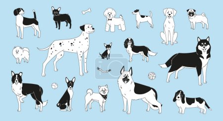Illustration for Black and white dogs bundle. Vector illustration of different breeds in modern flat style - Royalty Free Image