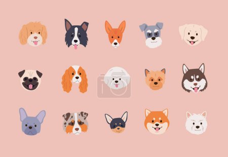 Cute dog faces collection in cartoon style. Flat vector illustration of chihuahua, pug, shiba inu and other breeds