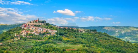 Panoramic view of famous small old town Motovun on picturesque hill. Istria, Croatia