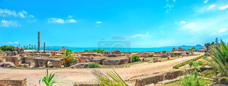 Photo for Panoramic view of ancient ruins with thermal baths in Carthage. Tunis, Tunisia, North Africa - Royalty Free Image