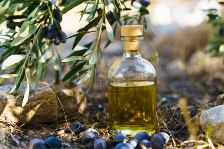 Huile d'olive avec fond de branche d'olivier. Huile naturelle pour aliments ou cosmétiques à partir d'ingrédients naturels. Aliments sains, concept cosmétique. Photo de haute qualité