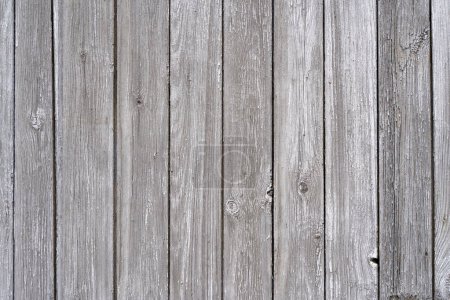 Old Wooden planks background wall. Textured rustic wood old paneling for walls, interiors and construction. High quality photo Poster 649910902
